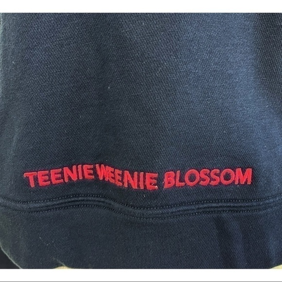 Teenie Weenie Kate |  Cropped Hoodie Size XS - Picture 3 of 6
